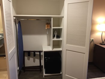 Standard Room, 1 King Bed, Non Smoking, Refrigerator