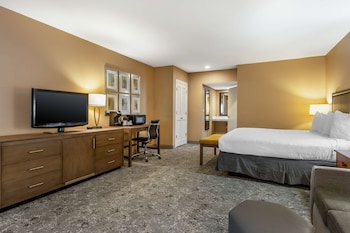 Suite, 1 King Bed, Accessible, Refrigerator & Microwave (Walk-in Shower)