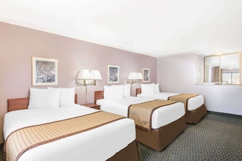 Room, Multiple Beds, Smoking (Mobility/Hearing/Roll-In Shower)