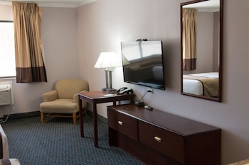 Room, 1 King Bed, Non Smoking (Mobility/Hearing/Roll-In Shower)