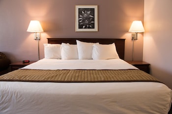 Room, 1 King Bed, Non Smoking (Mobility/Hearing/Roll-In Shower)