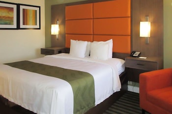 Room, 1 King Bed, Accessible, Non Smoking