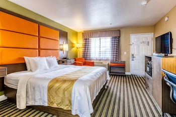 Standard Room, 1 King Bed, Non Smoking