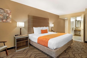 Standard Room, 1 King Bed, Accessible, Non Smoking