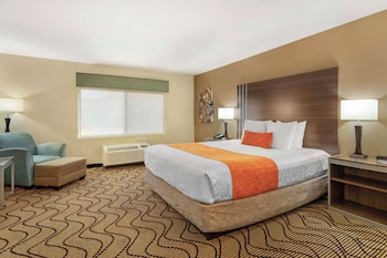 Standard Room, 1 King Bed, Accessible, Non Smoking