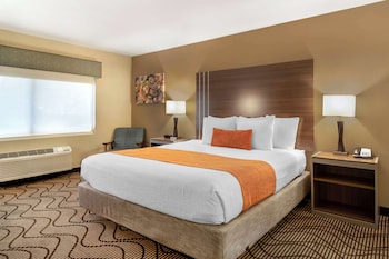 Standard Room, 1 King Bed, Accessible, Non Smoking