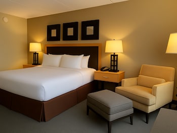 Room, 1 King Bed, Accessible, Non Smoking