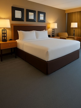 Room, 1 King Bed, Accessible, Non Smoking