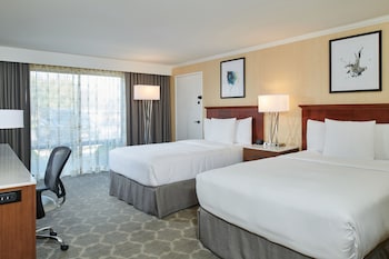 Room, 2 Double Beds