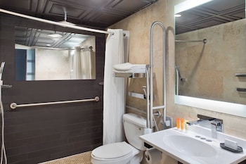 Room, 1 King Bed (Mobility Accessible, Roll-in Shower)