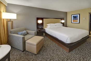 Room, 1 King Bed, Accessible, Bathtub (Mobility & Hearing)