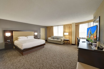 Room, 1 King Bed, Accessible, Bathtub (Mobility & Hearing)