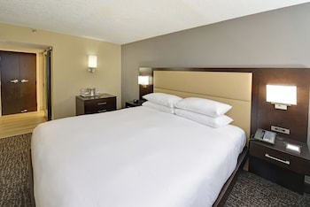 Room, 1 King Bed