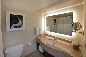 Junior Suite, 1 King Bed
