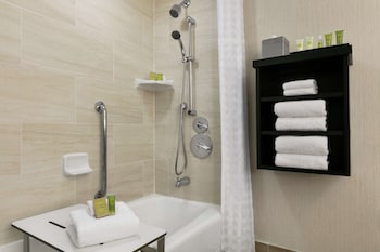 Room, 1 King Bed, Accessible, Bathtub (Mobility & Hearing)