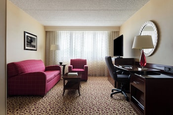 Suite, 1 Bedroom