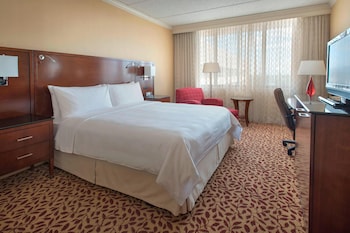 Room, 1 King Bed (Hearing Accessible)