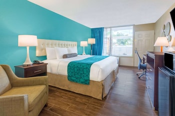 Room, 1 King Bed, Non Smoking