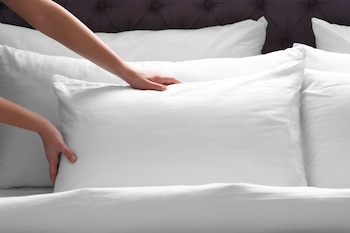 Room, 1 King Bed