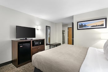 Standard Room, 1 King Bed, Non Smoking