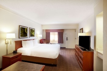 Room, 1 King Bed, Accessible, Non Smoking (Roll-In Shower)