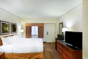 Room, 1 King Bed, Accessible, Non Smoking (Roll-In Shower)