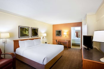 Room, 1 King Bed, Accessible, Non Smoking (Roll-In Shower)