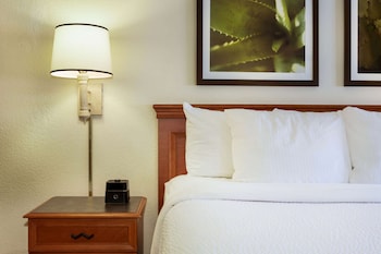 Room, 1 King Bed, Accessible, Non Smoking (Roll-In Shower)