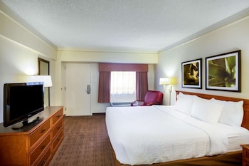 Room, 1 King Bed, Non Smoking