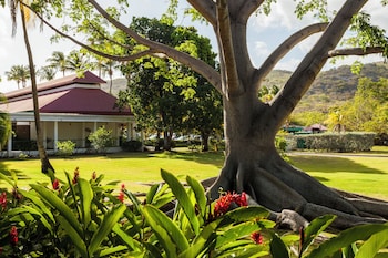 Deluxe Room, Garden View