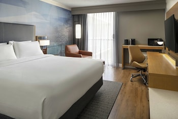 Room, 1 King Bed (Mobility/Hearing Access, Roll-In Shwr)