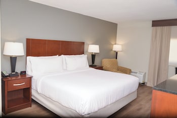Standard Room, 1 King Bed