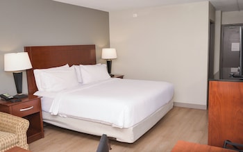 Premium Room, 1 King Bed, Pool Access