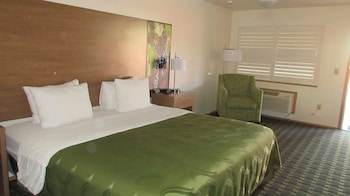 Room, 1 King Bed, Accessible, Non Smoking