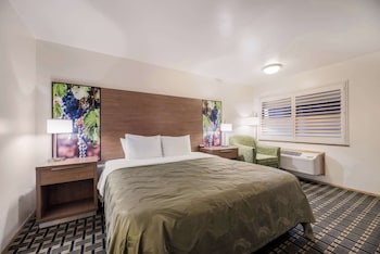 Room, 1 King Bed, Accessible, Non Smoking