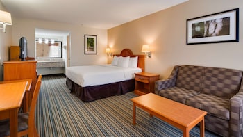 Standard Room, 1 King Bed, Non Smoking, Refrigerator & Microwave (Pet Friendly)
