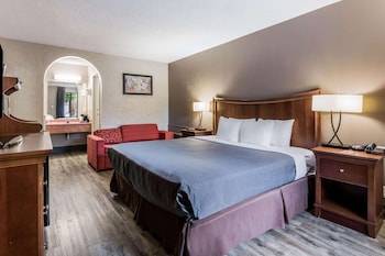 Room, 1 King Bed, Accessible, Non Smoking