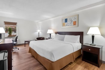 Standard Room, 1 King Bed