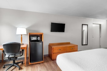 Room, 1 King Bed, Non Smoking (Mobility, Walk-In Shower)
