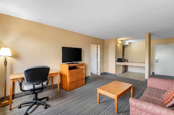 Suite, 1 King Bed, Smoking