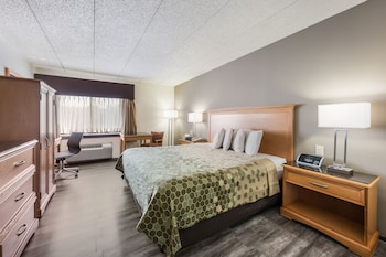 Standard Room, 1 King Bed, Non Smoking