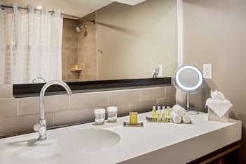 Room, 1 King Bed, Accessible, Pool View (Bathtub)