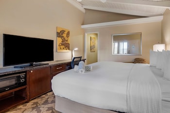 Standard Room, 1 King Bed, Accessible, Non Smoking