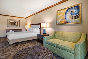 Standard Room, 1 King Bed, Non Smoking, Refrigerator & Microwave