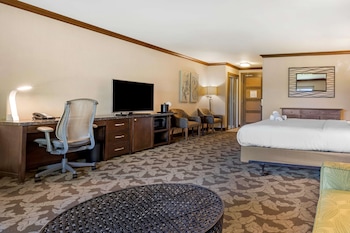 Standard Room, 1 King Bed, Non Smoking, Refrigerator & Microwave