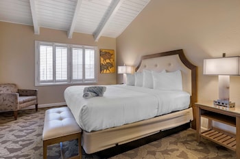Suite, 1 King Bed, Accessible, Kitchen (with Sofabed, Full Kitchen)