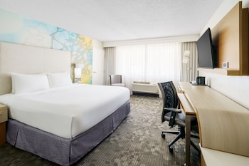 Room, 1 King Bed (Mobility/Hearing Accessible, Tub)