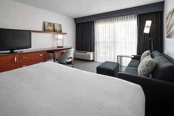 Room, 1 King Bed with Sofa bed (Hearing Accessible)