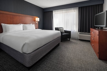 Suite, 1 King Bed with Sofa bed