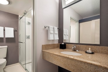 Suite, 1 King Bed with Sofa bed